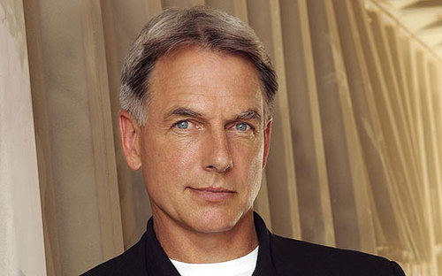 Special Agent with NCIS, Marine Gunnery Sergeant. Not Mark Harmon.