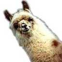 Evan Patterson - @Jiggles94 - Twitter