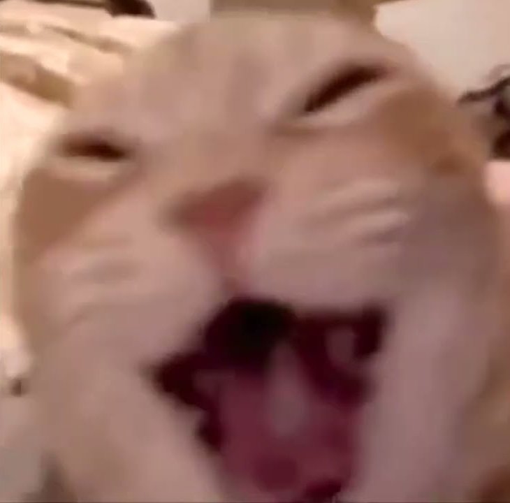 It’s cat season. Cats tax Dogs, right?

If you wish to tax some dogs here the CA:

A8WGag2MmbFjHsmuo41WJkQaUogrZspLK2hvFCbDW61g