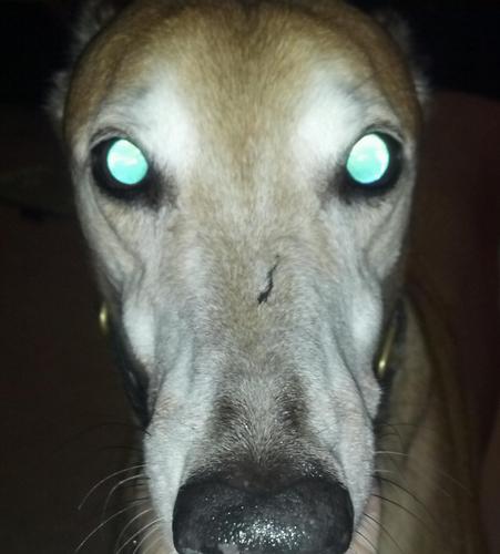 jbuttolph75's profile picture. 