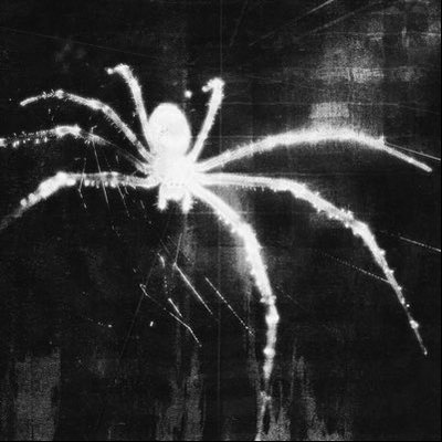 MaesCorner's profile image