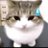 Q2B_z's profile image