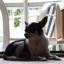 La'Lee Gascot - @LaLee_butt - Twitter