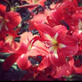 JoyHubbard2's profile picture. 