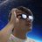 onominato1122's profile image