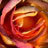 Kandicimo's profile image