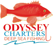 Odyssey Charters offer offshore fishing charters from the port of Mooloolaba on the Sunshine Coast.