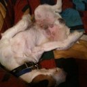 Michael Tobin - @mttobin - Twitter