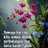 meak_abor's profile image