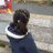 bessyncoy's profile image