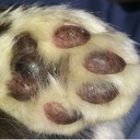 bernice white - @bernice_white - Twitter