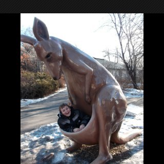 Jarden489's profile picture. 