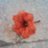 cuol_u's profile image