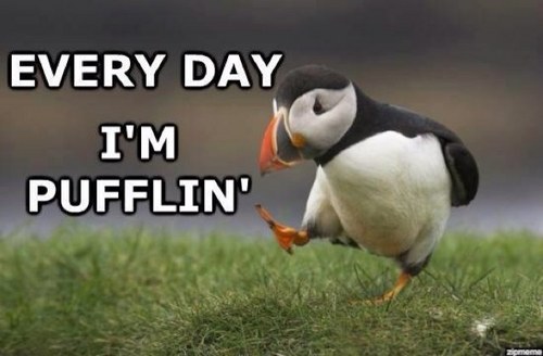 nerdalishous's profile picture. 