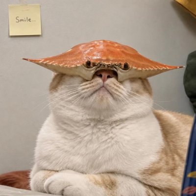 σ゚ロ゚)σ 特に何もない
🎶https://t.co/RJkMC4KCkG