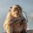 TownMaxim's profile image