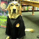 ellis anderson - @harrypautter1 - Twitter