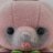chorocha1517's profile image