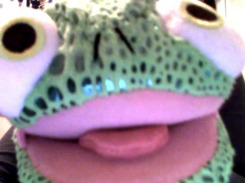 Hi! I'm Pascal, Follow me on my adventures and travels around the US and world. You never know where I'll end up next!