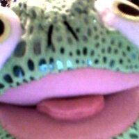 Pascal (@pascal_is_me) 's Twitter Profile