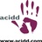 acidd_tic21's profile image