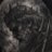 seconduser49's profile image