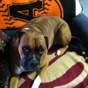 John Allen - @john_mallen - Twitter