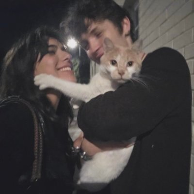 it's a cat account