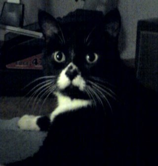 freelancetexas's profile picture. 