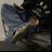 tripplenewj's profile image