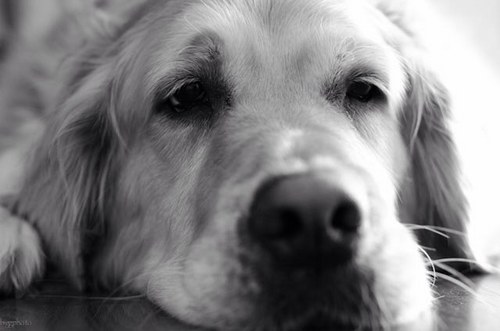 cdame99's profile picture. 