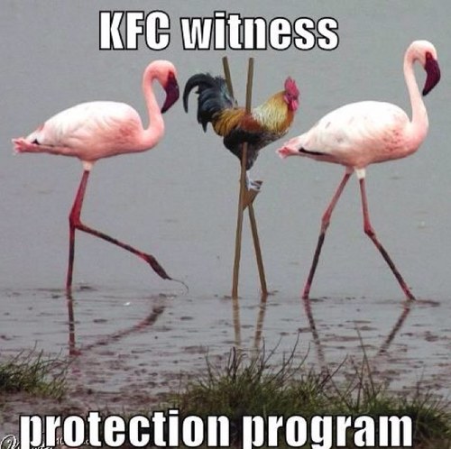 Funny Jokes Daily Funny Jokes Daily