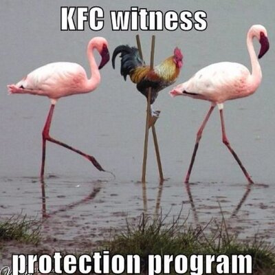 Funny Jokes Daily (@funyjokesdaily) / Twitter Funny Jokes Daily (@funyjokesdaily) / Twitter