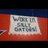 gatorman45's profile image