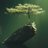 mudgal_shivansh's profile image