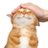 swit1ie's profile image