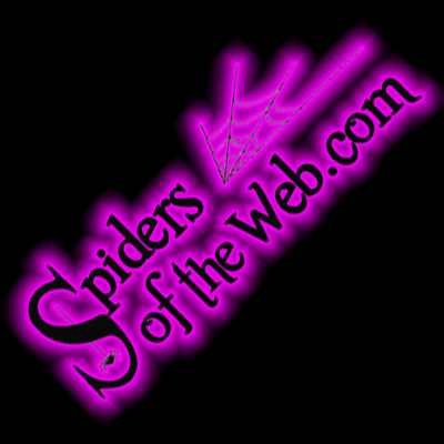 SpidersoftheWeb's profile picture. We carry the complete line of the Crazy Bonez Skeletons!