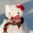 noturbear_'s profile image