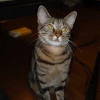 たるたる＠読書垢 (@miyabitale) 's Twitter Profile Photo