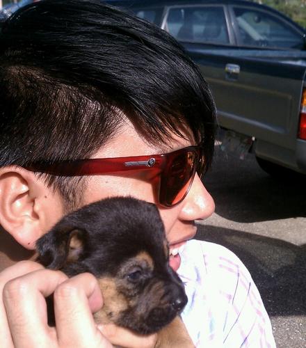 paulpagel's profile picture. Everybody comments on my biceps, triceps, quadriceps, quinticeps, etc. Pretty much every muscle on my body is revered by all. It's kind of weird, but oh well.