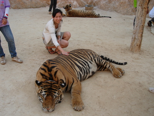 joychang's profile picture. 