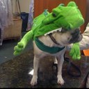 Eli Fox - @boyzorro - Twitter