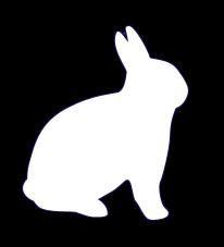 LapinGSmallTalk's profile picture. 