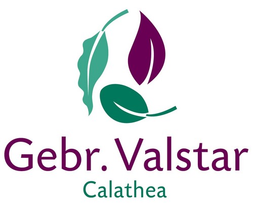 Gebr. Valstar B.V. – Home of the Living Plants!

U kunt ons bereiken op 0174-624063 of verkoop@starplant.nl