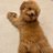 pC7d7A9ft149298's profile image