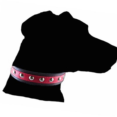 argos dog collar