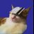 catwifnolimit's profile image