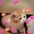 FAH8071's profile image