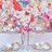 Pipya__67138's profile image