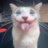 mustafa1wxq's profile image